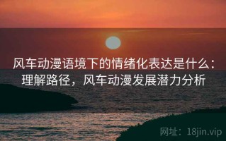 风车动漫语境下的情绪化表达是什么：理解路径，风车动漫发展潜力分析