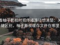 看柚子影视时把传播路径想清楚：关键区别，柚子影视缓存文件在哪里