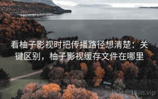 看柚子影视时把传播路径想清楚：关键区别，柚子影视缓存文件在哪里