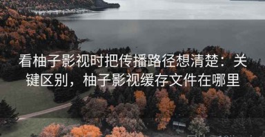 看柚子影视时把传播路径想清楚：关键区别，柚子影视缓存文件在哪里