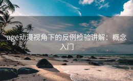 age动漫视角下的反例检验讲解：概念入门