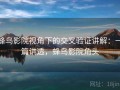 蜂鸟影院视角下的交叉验证讲解：一篇讲透，蜂鸟影院角头