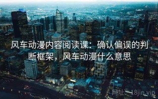 风车动漫内容阅读课：确认偏误的判断框架，风车动漫什么意思