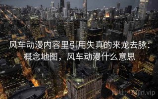 风车动漫内容里引用失真的来龙去脉：概念地图，风车动漫什么意思