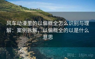 风车动漫里的以偏概全怎么识别与理解：案例拆解，以偏概全的以是什么意思