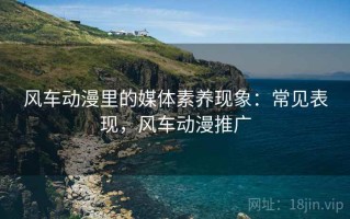 风车动漫里的媒体素养现象：常见表现，风车动漫推广