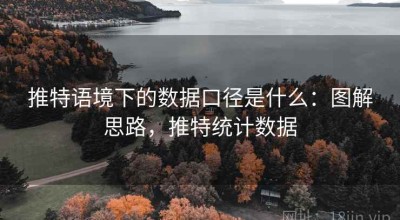 推特语境下的数据口径是什么：图解思路，推特统计数据