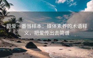 把爱一番当样本：媒体素养的术语释义，把爱传出去简谱