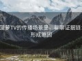 菠萝TV的传播场景里，聊聊证据链：形成原因