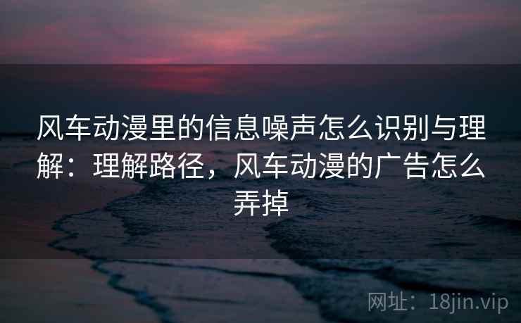 风车动漫里的信息噪声怎么识别与理解：理解路径，风车动漫的广告怎么弄掉
