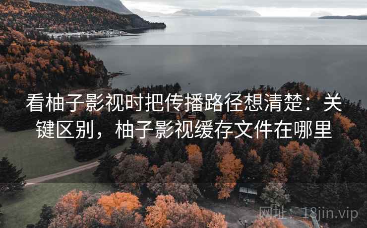 看柚子影视时把传播路径想清楚：关键区别，柚子影视缓存文件在哪里
